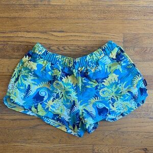 Patagonia Vibrant Blue and Green Athletic Shorts